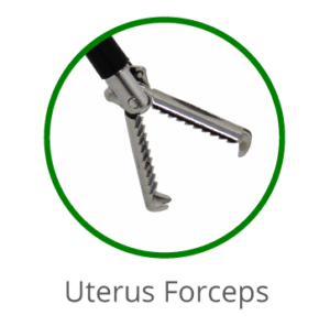 Uterus Forceps 